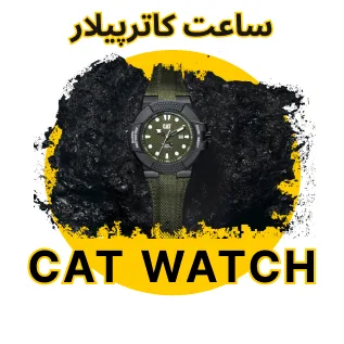 CAT WATCH