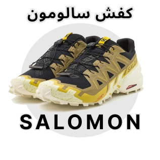 salomon shoes