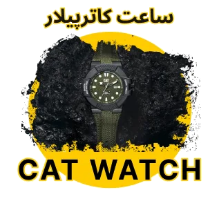 CAT WATCH1